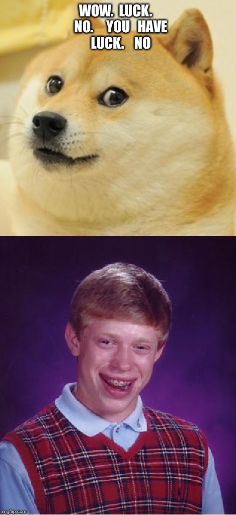 Wow No | WOW.  LUCK.    NO.     YOU   HAVE   LUCK.    NO | image tagged in bad luck brian,doge,funny memes | made w/ Imgflip meme maker