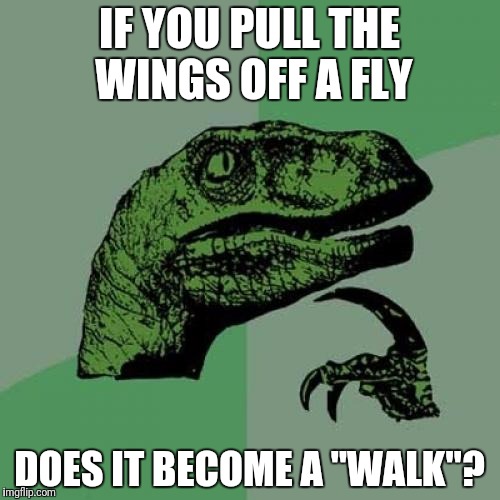 Philosoraptor | IF YOU PULL THE WINGS OFF A FLY; DOES IT BECOME A "WALK"? | image tagged in memes,philosoraptor | made w/ Imgflip meme maker