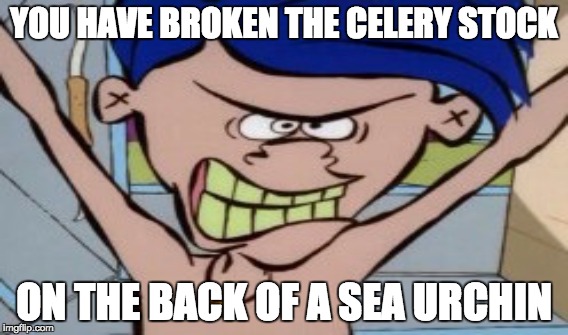 YOU HAVE BROKEN THE CELERY STOCK; ON THE BACK OF A SEA URCHIN | image tagged in cartoon | made w/ Imgflip meme maker