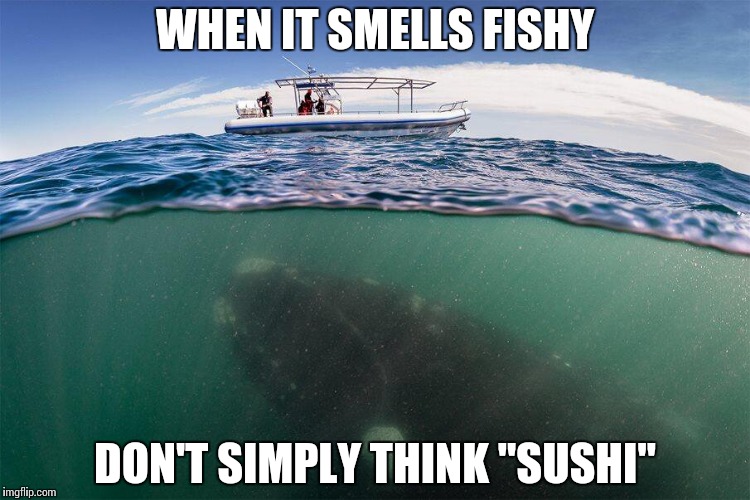 WHEN IT SMELLS FISHY; DON'T SIMPLY THINK "SUSHI" | image tagged in fishing for whales | made w/ Imgflip meme maker