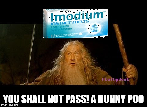 you shall not pass runny poo | YOU SHALL NOT PASS! A RUNNY POO | image tagged in gandalf you shall not pass,gandalf,imodium,diarrhea,useless | made w/ Imgflip meme maker