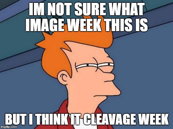 Futurama Fry Meme | IM NOT SURE WHAT IMAGE WEEK THIS IS; BUT I THINK IT CLEAVAGE WEEK | image tagged in memes,futurama fry | made w/ Imgflip meme maker
