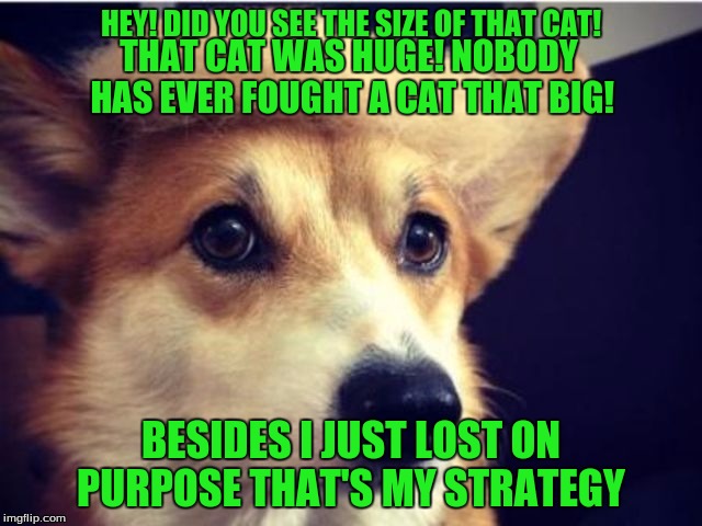 HEY! DID YOU SEE THE SIZE OF THAT CAT! BESIDES I JUST LOST ON PURPOSE THAT'S MY STRATEGY THAT CAT WAS HUGE! NOBODY HAS EVER FOUGHT A CAT THA | made w/ Imgflip meme maker