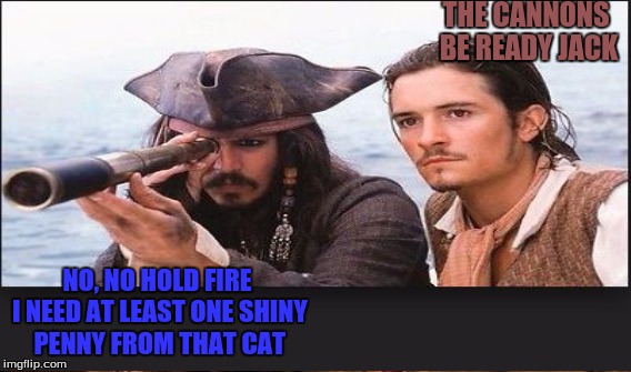 THE CANNONS BE READY JACK NO, NO HOLD FIRE I NEED AT LEAST ONE SHINY PENNY FROM THAT CAT | made w/ Imgflip meme maker