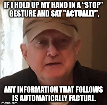 IF I HOLD UP MY HAND IN A “STOP” GESTURE AND SAY "ACTUALLY", ANY INFORMATION THAT FOLLOWS IS AUTOMATICALLY FACTUAL. | made w/ Imgflip meme maker