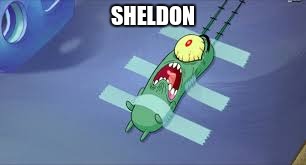 Plankton | SHELDON | image tagged in plankton | made w/ Imgflip meme maker