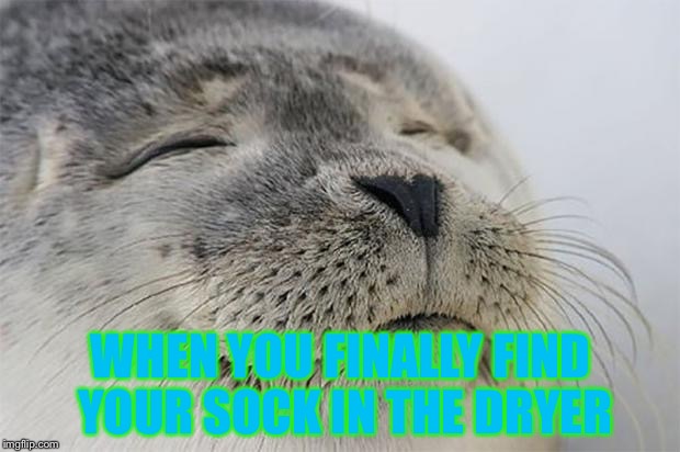 Satisfied Seal Meme | WHEN YOU FINALLY FIND YOUR SOCK IN THE DRYER | image tagged in memes,satisfied seal | made w/ Imgflip meme maker
