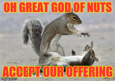 When you're a squirrel but you need a bountiful harvest | OH GREAT GOD OF NUTS; ACCEPT OUR OFFERING | image tagged in memes,squirrels,funny,magic | made w/ Imgflip meme maker