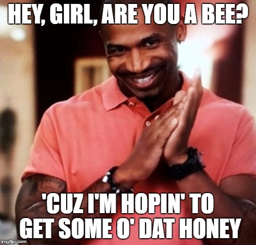Honey | HEY, GIRL, ARE YOU A BEE? 'CUZ I'M HOPIN' TO GET SOME O' DAT HONEY | image tagged in pick up lines,bees,honey | made w/ Imgflip meme maker