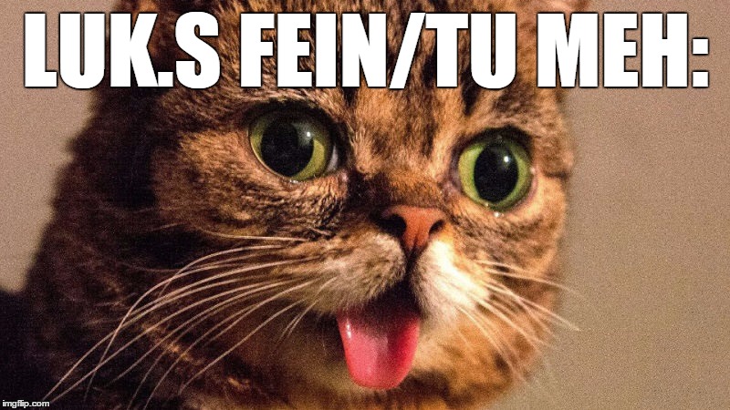 Dumb Cat | LUK.S FEIN/TU MEH: | image tagged in dumb cat | made w/ Imgflip meme maker