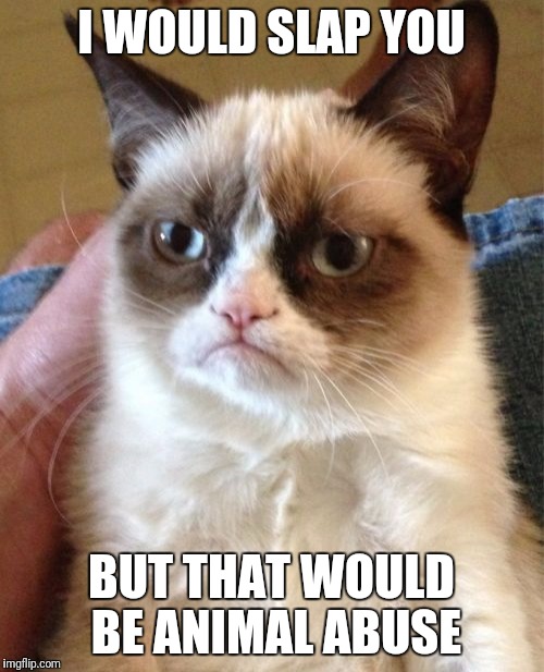 Grumpy Cat Meme | I WOULD SLAP YOU; BUT THAT WOULD BE ANIMAL ABUSE | image tagged in memes,grumpy cat | made w/ Imgflip meme maker