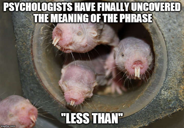 Less Than | PSYCHOLOGISTS HAVE FINALLY UNCOVERED THE MEANING OF THE PHRASE; "LESS THAN" | image tagged in less than,naked mole rats | made w/ Imgflip meme maker