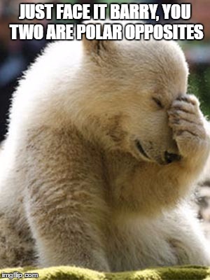 Facepalm Bear | JUST FACE IT BARRY, YOU TWO ARE POLAR OPPOSITES | image tagged in memes,facepalm bear | made w/ Imgflip meme maker