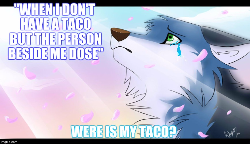 "WHEN I DON'T HAVE A TACO BUT THE PERSON BESIDE ME DOSE"; WERE IS MY TACO? | image tagged in were's my taco | made w/ Imgflip meme maker