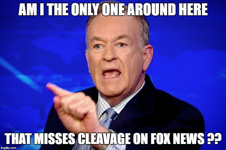 AM I THE ONLY ONE AROUND HERE; THAT MISSES CLEAVAGE ON FOX NEWS ?? | image tagged in bill | made w/ Imgflip meme maker
