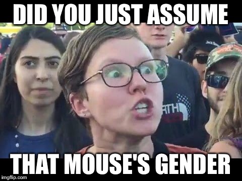 DID YOU JUST ASSUME THAT MOUSE'S GENDER | made w/ Imgflip meme maker