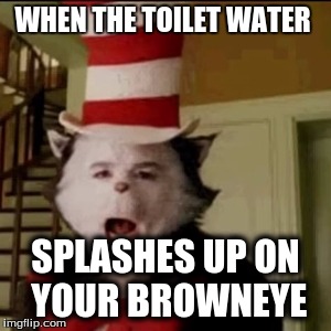 Cat in the Hat | WHEN THE TOILET WATER; SPLASHES UP ON YOUR BROWNEYE | image tagged in cat in the hat | made w/ Imgflip meme maker