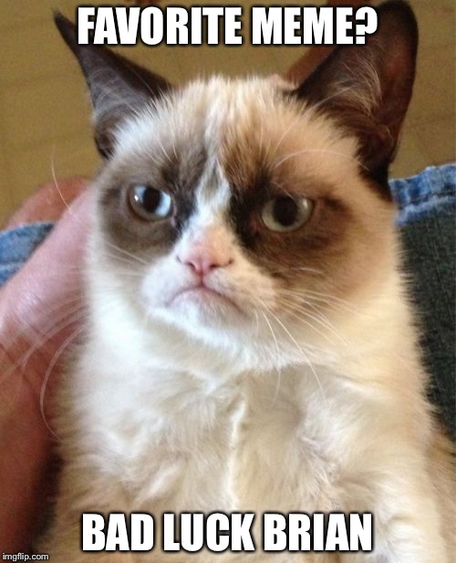 Grumpy Cat Meme | FAVORITE MEME? BAD LUCK BRIAN | image tagged in memes,grumpy cat | made w/ Imgflip meme maker