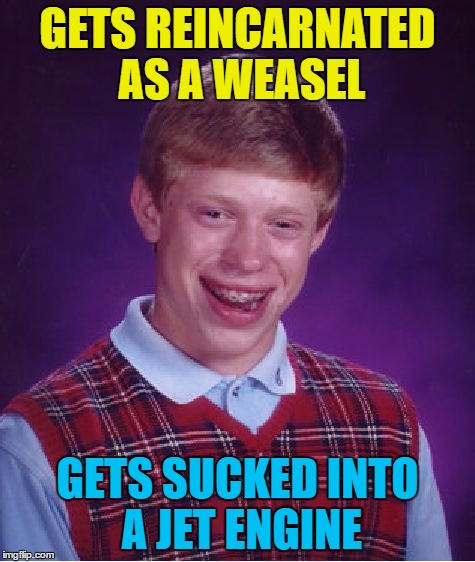 Bad Luck Brian Meme | GETS REINCARNATED AS A WEASEL GETS SUCKED INTO A JET ENGINE | image tagged in memes,bad luck brian | made w/ Imgflip meme maker