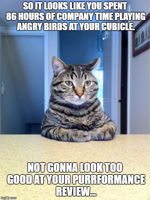 Take A Seat Cat | SO IT LOOKS LIKE YOU SPENT 86 HOURS OF COMPANY TIME PLAYING ANGRY BIRDS AT YOUR CUBICLE. NOT GONNA LOOK TOO GOOD AT YOUR PURRFORMANCE REVIEW... | image tagged in memes,take a seat cat | made w/ Imgflip meme maker