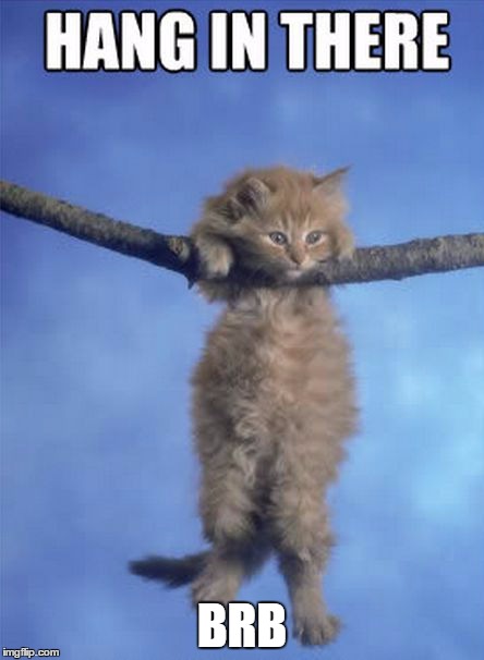 Hang in there Kitty | BRB | image tagged in hang in there kitty | made w/ Imgflip meme maker