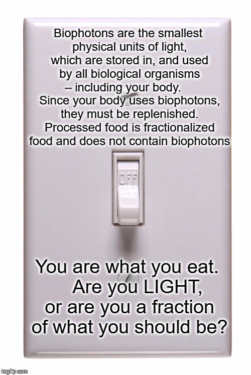 light switch off | Biophotons are the smallest physical units of light, which are stored in, and used by all biological organisms – including your body.     Since your body uses biophotons, they must be replenished. Processed food is fractionalized food and does not contain biophotons; You are what you eat.    Are you LIGHT, or are you a fraction of what you should be? | image tagged in light switch off | made w/ Imgflip meme maker