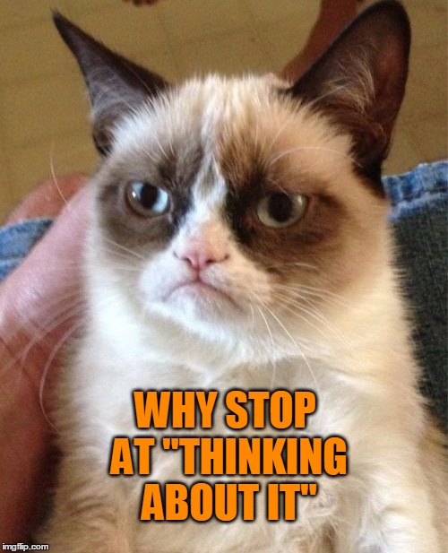Grumpy Cat Meme | WHY STOP AT "THINKING ABOUT IT" | image tagged in memes,grumpy cat | made w/ Imgflip meme maker
