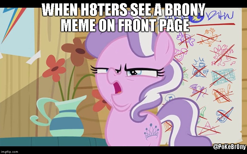 So True | WHEN H8TERS SEE A BRONY MEME ON FRONT PAGE; @PoKeBrOny | image tagged in mlp wtf,memes | made w/ Imgflip meme maker