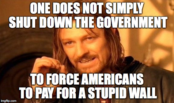 One Does Not Simply | ONE DOES NOT SIMPLY SHUT DOWN THE GOVERNMENT; TO FORCE AMERICANS TO PAY FOR A STUPID WALL | image tagged in memes,one does not simply | made w/ Imgflip meme maker