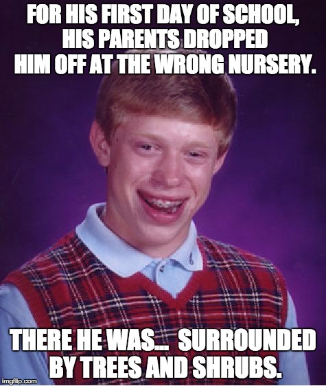 Bad Luck Brian Meme | FOR HIS FIRST DAY OF SCHOOL, HIS PARENTS DROPPED HIM OFF AT THE WRONG NURSERY. THERE HE WAS...  SURROUNDED BY TREES AND SHRUBS. | image tagged in memes,bad luck brian | made w/ Imgflip meme maker
