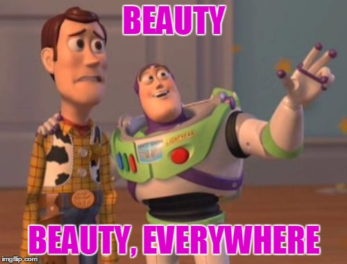 X, X Everywhere Meme | BEAUTY BEAUTY, EVERYWHERE | image tagged in memes,x x everywhere | made w/ Imgflip meme maker