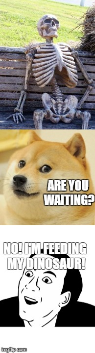 Another you don't say story... | ARE YOU WAITING? NO! I'M FEEDING MY DINOSAUR! | image tagged in waiting skeleton,doge,you don't say | made w/ Imgflip meme maker