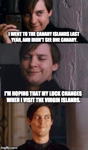 Bad Pun Maguire | I WENT TO THE CANARY ISLANDS LAST YEAR, AND DIDN'T SEE ONE CANARY. I'M HOPING THAT MY LUCK CHANGES WHEN I VISIT THE VIRGIN ISLANDS. | image tagged in bad pun maguire | made w/ Imgflip meme maker