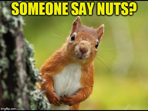 SOMEONE SAY NUTS? | made w/ Imgflip meme maker