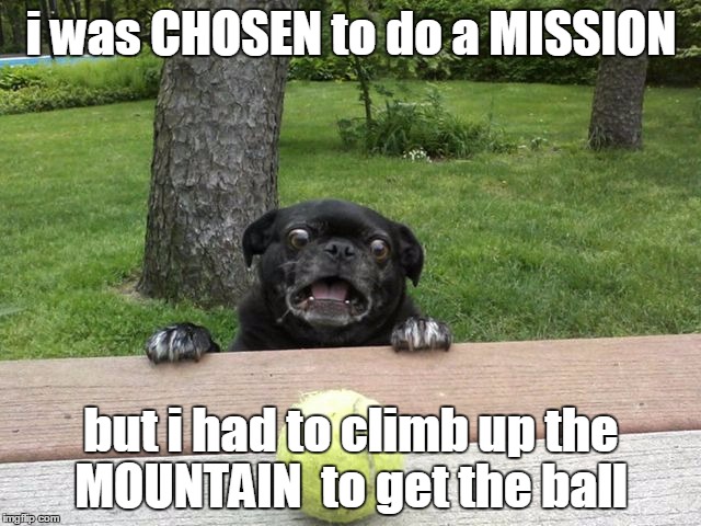 Pug Tennis Ball | i was CHOSEN to do a MISSION; but i had to climb up the MOUNTAIN  to get the ball | image tagged in pug tennis ball | made w/ Imgflip meme maker