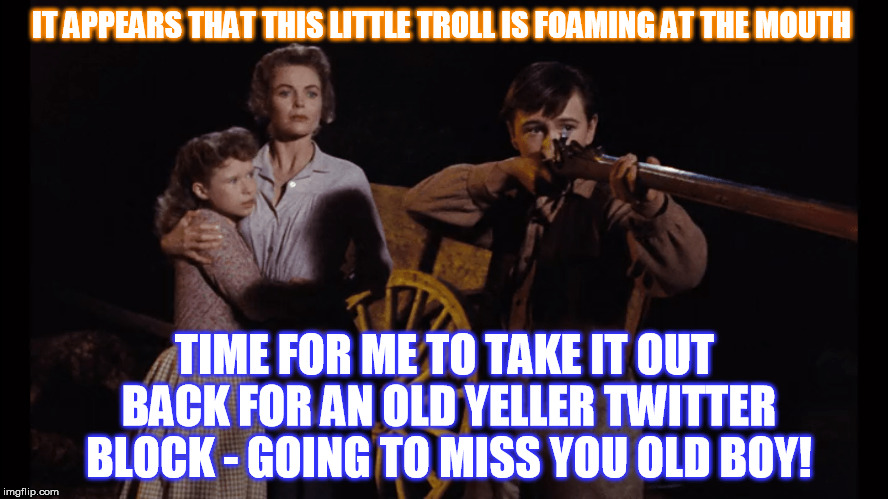 Every Dog has its day, but today is not your day. | IT APPEARS THAT THIS LITTLE TROLL IS FOAMING AT THE MOUTH; TIME FOR ME TO TAKE IT OUT BACK FOR AN OLD YELLER TWITTER BLOCK - GOING TO MISS YOU OLD BOY! | image tagged in twitter block | made w/ Imgflip meme maker