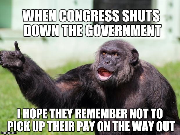 Gorilla your dreams | WHEN CONGRESS SHUTS DOWN THE GOVERNMENT I HOPE THEY REMEMBER NOT TO PICK UP THEIR PAY ON THE WAY OUT | image tagged in gorilla your dreams | made w/ Imgflip meme maker