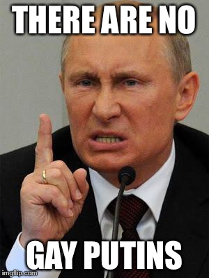 AngryPutin | THERE ARE NO; GAY PUTINS | image tagged in angryputin | made w/ Imgflip meme maker