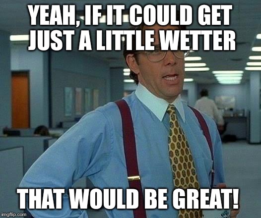 That Would Be Great | YEAH, IF IT COULD GET JUST A LITTLE WETTER; THAT WOULD BE GREAT! | image tagged in memes,that would be great | made w/ Imgflip meme maker