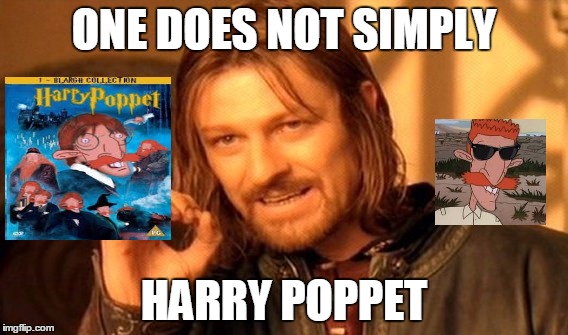 One Does Not Simply | ONE DOES NOT SIMPLY; HARRY POPPET | image tagged in memes,one does not simply | made w/ Imgflip meme maker