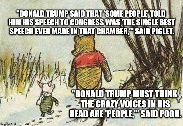 Pooh Piglet | "DONALD TRUMP SAID THAT 'SOME PEOPLE' TOLD HIM HIS SPEECH TO CONGRESS WAS 'THE SINGLE BEST SPEECH EVER MADE IN THAT CHAMBER,'" SAID PIGLET. "DONALD TRUMP MUST THINK THE CRAZY VOICES IN HIS HEAD ARE 'PEOPLE,'" SAID POOH. | image tagged in pooh piglet | made w/ Imgflip meme maker