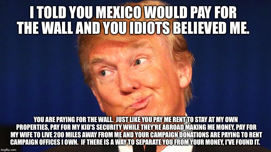 The sheeple refuse to see it | I TOLD YOU MEXICO WOULD PAY FOR THE WALL AND YOU IDIOTS BELIEVED ME. YOU ARE PAYING FOR THE WALL.  JUST LIKE YOU PAY ME RENT TO STAY AT MY OWN PROPERTIES, PAY FOR MY KID'S SECURITY WHILE THEY'RE ABROAD MAKING ME MONEY, PAY FOR MY WIFE TO LIVE 200 MILES AWAY FROM ME AND YOUR CAMPAIGN DONATIONS ARE PAYING TO RENT CAMPAIGN OFFICES I OWN.  IF THERE IS A WAY TO SEPARATE YOU FROM YOUR MONEY, I'VE FOUND IT. | image tagged in gullible | made w/ Imgflip meme maker