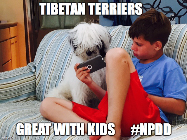 TIBETAN TERRIERS; GREAT WITH KIDS      #NPDD | image tagged in kids,dogs | made w/ Imgflip meme maker