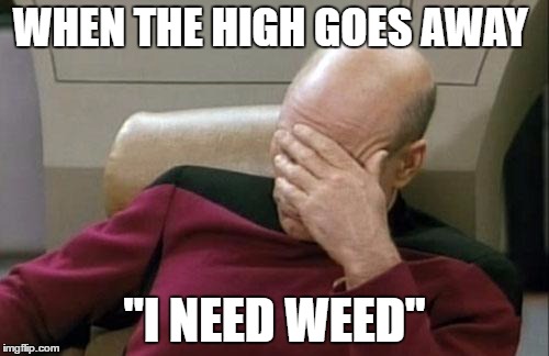 Captain Picard Facepalm | WHEN THE HIGH GOES AWAY; "I NEED WEED" | image tagged in memes,captain picard facepalm | made w/ Imgflip meme maker