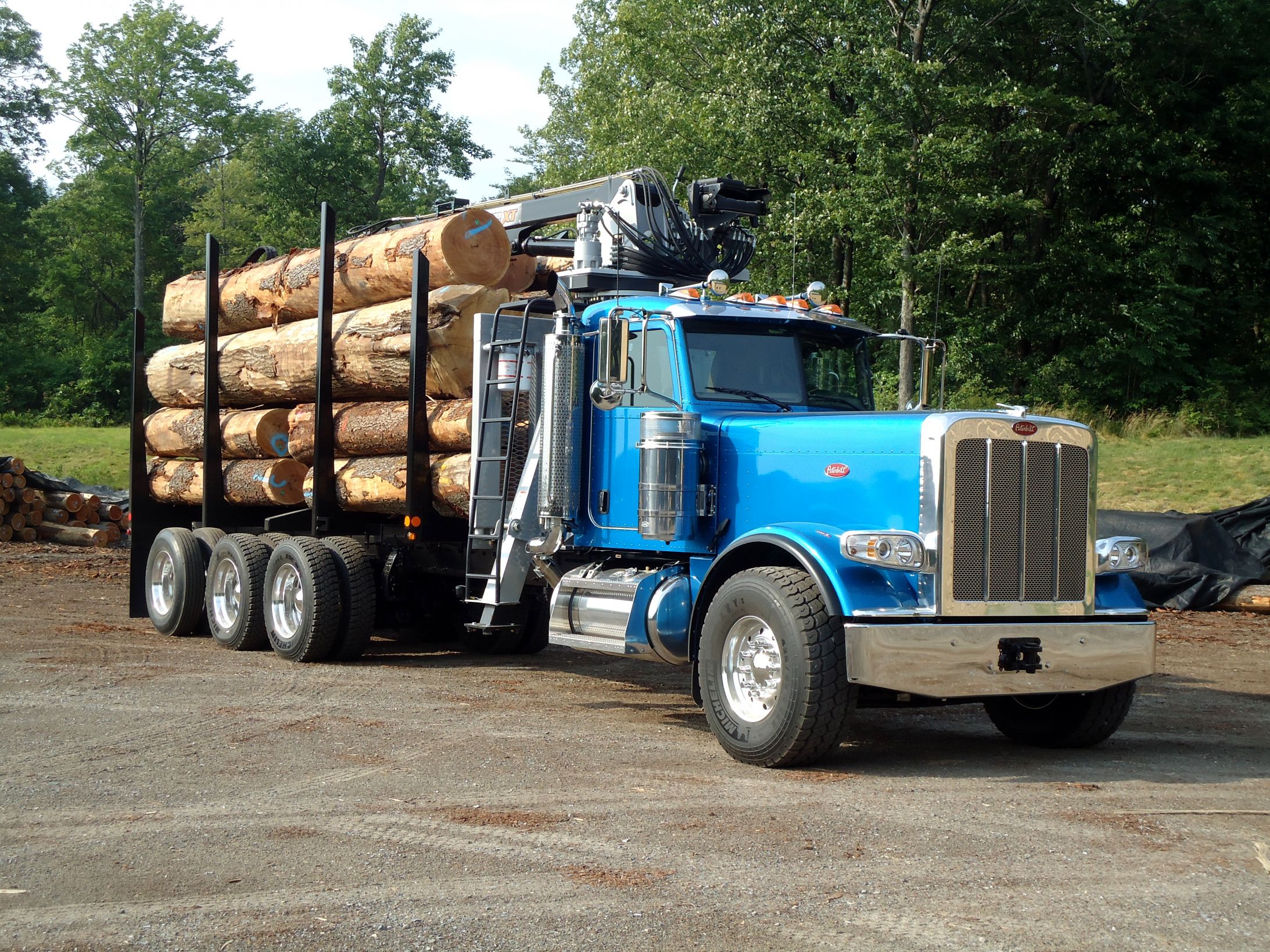 High Quality Peterbilt logger Blank Meme Template