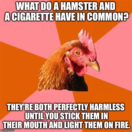Anti Joke Chicken | WHAT DO A HAMSTER AND A CIGARETTE HAVE IN COMMON? THEY'RE BOTH PERFECTLY HARMLESS UNTIL YOU STICK THEM IN THEIR MOUTH AND LIGHT THEM ON FIRE. | image tagged in memes,anti joke chicken | made w/ Imgflip meme maker