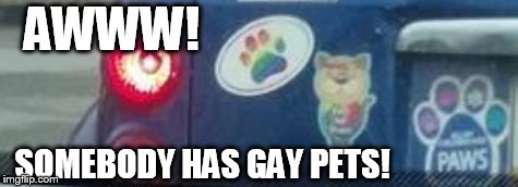 AWWW! SOMEBODY HAS GAY PETS! | image tagged in gay pets | made w/ Imgflip meme maker