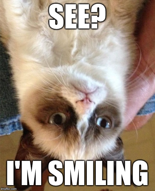 Grumpy Cat Meme | SEE? I'M SMILING | image tagged in memes,grumpy cat | made w/ Imgflip meme maker