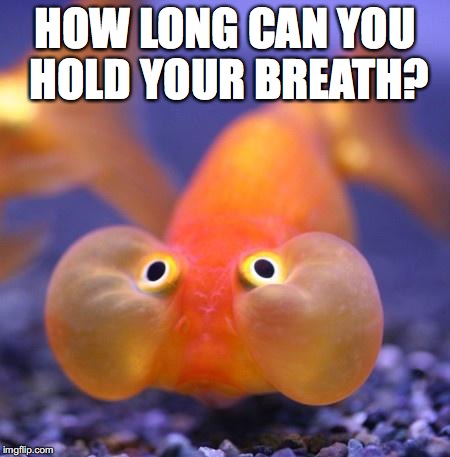 HOW LONG CAN YOU HOLD YOUR BREATH? | made w/ Imgflip meme maker