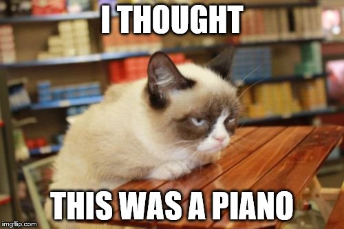 Grumpy Cat Table Meme | I THOUGHT; THIS WAS A PIANO | image tagged in memes,grumpy cat table,grumpy cat | made w/ Imgflip meme maker